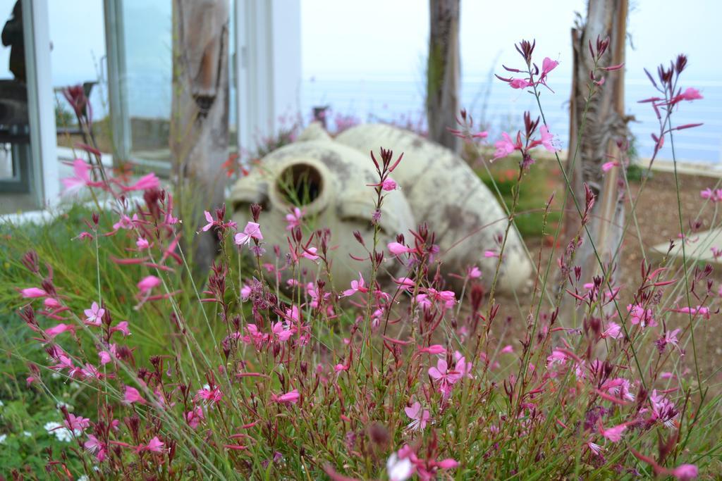 Villa Delle Anfore 스코펠로 외부 사진